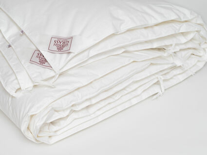 Одеяло German Grass Alliance Down&Down Grass всесезонное/всесезонное Light 150х200