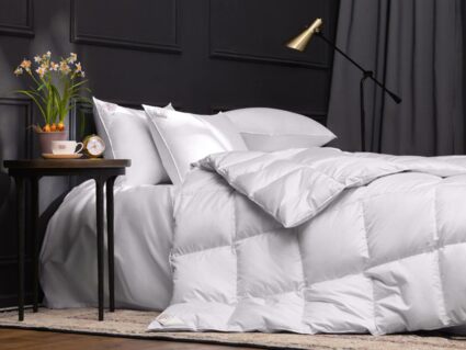 Одеяло German Grass EXCLUSIVE COTTON EIDER DOWN теплое 593