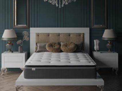 Матрас Evita SymBio Charm Relax 25
