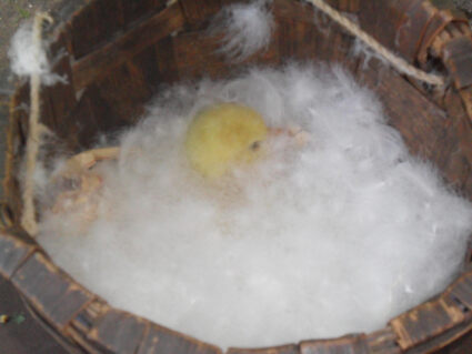 Подушка Nature’S-Natura Sanat Люкс 50х70