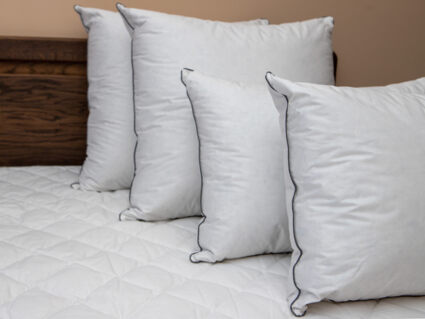 Подушка Nature’S-Natura Sanat Для мужчин 50х70