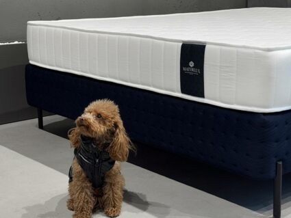 Матрас Materlux Aventino Multi Forte 100х190