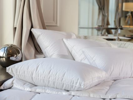 Подушка German Grass White Familie Down средняя 50х90